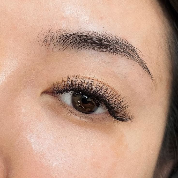 Volume Lashes