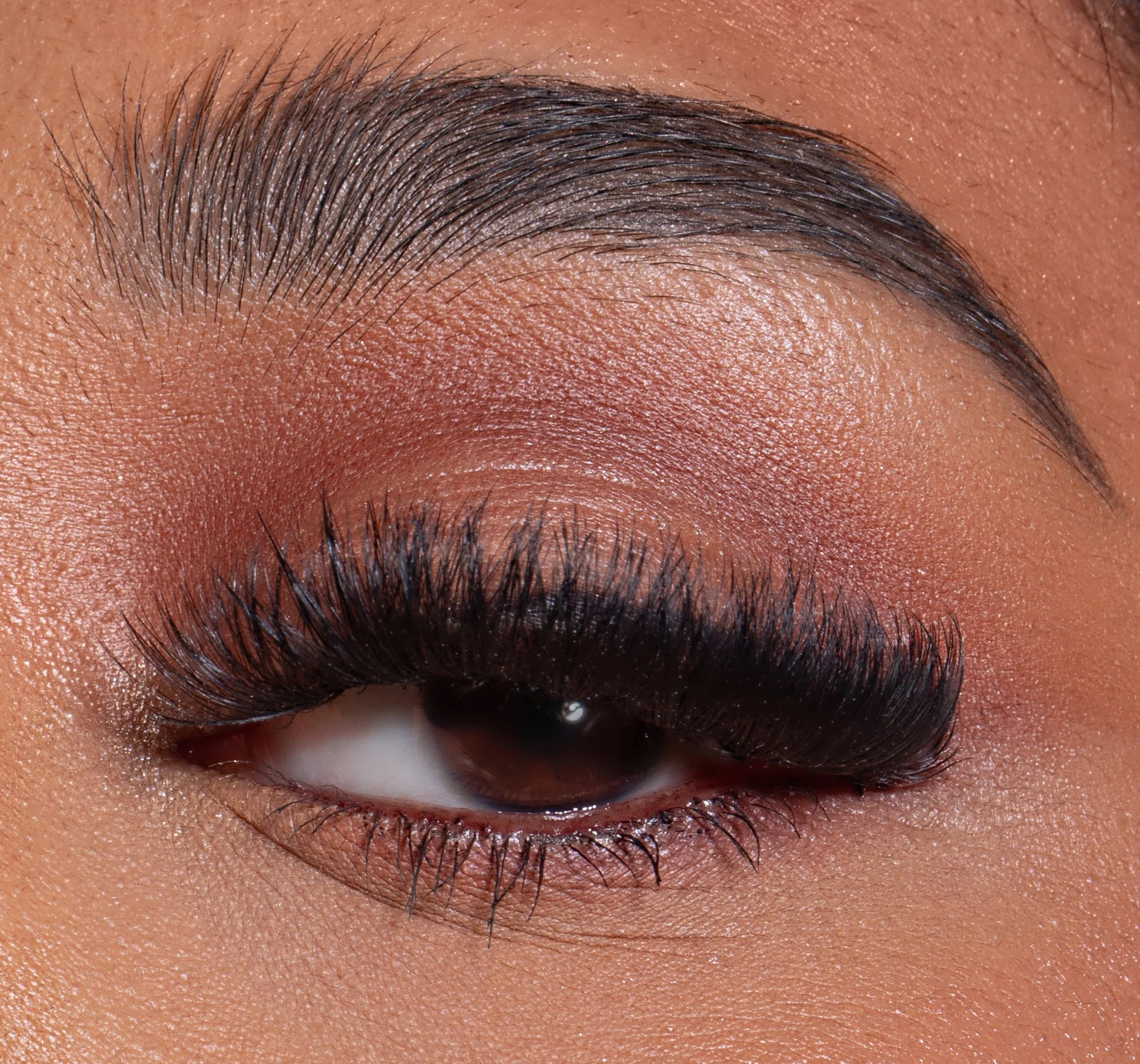 Mega Volume Lashes